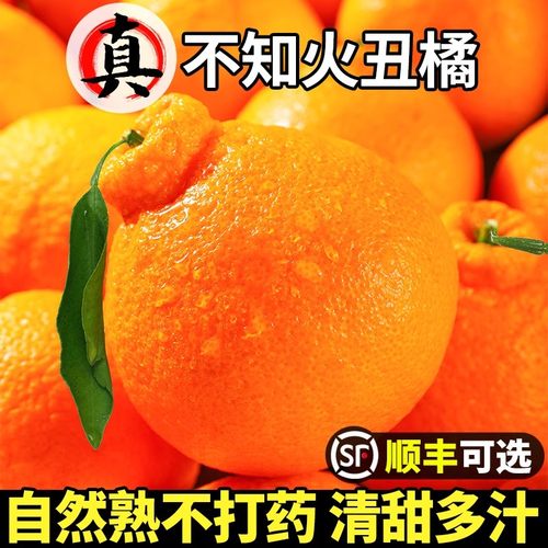 只卖真丑橘5A品质！现摘现发