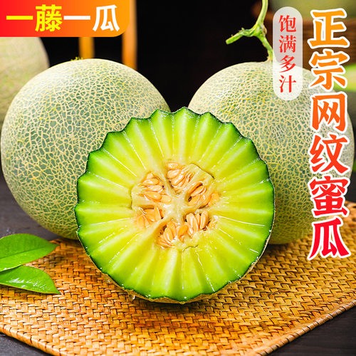 冰淇淋网纹蜜瓜一口软糯香甜
