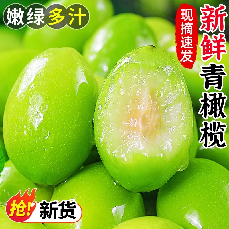 新鲜青橄榄2斤现摘应当季生檀香橄榄柑榄果孕妇甜种水果特产1包邮