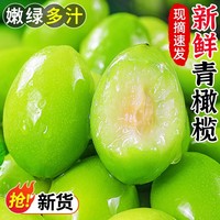 【新貨】新鮮青橄欖現(xiàn)摘現(xiàn)發(fā)