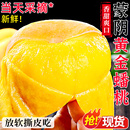 蒙阴黄金蟠桃5斤新鲜桃子水果正宗毛扁桃当季 纽扣盘桃甜蜜桃 包邮