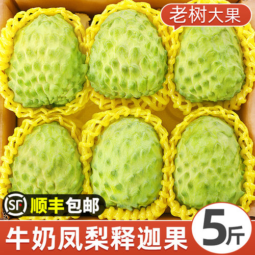 顺丰【凤梨释迦果】冰淇淋口感