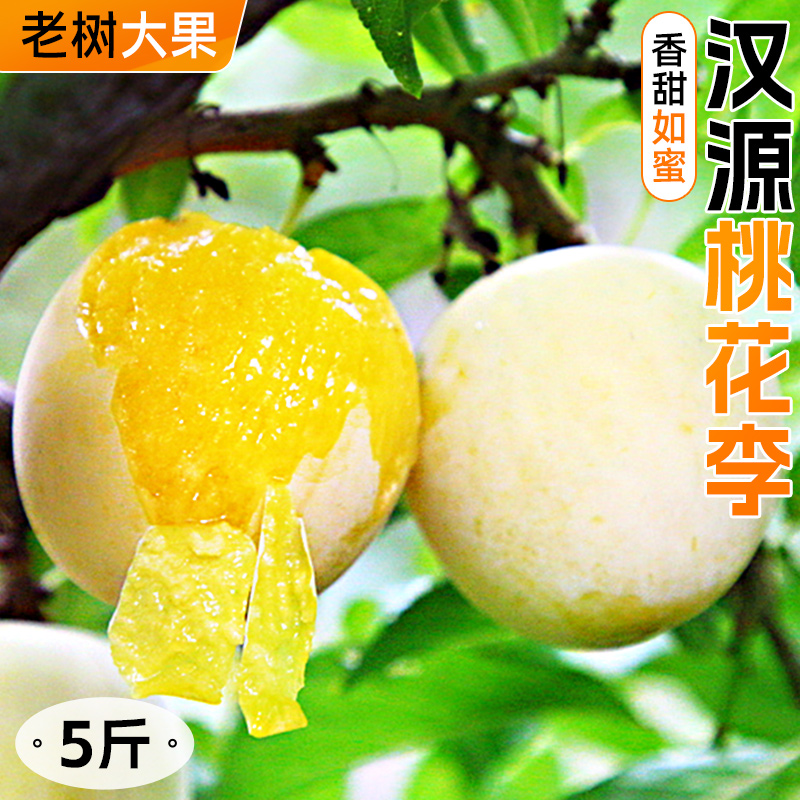 「汉源桃花李」深山蜜李好吃不贵