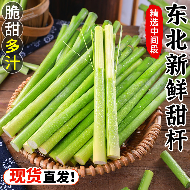 东北新鲜甜杆甜高粱甜芦粟青皮农家现砍中段甘蔗孕妇水果顺丰包邮