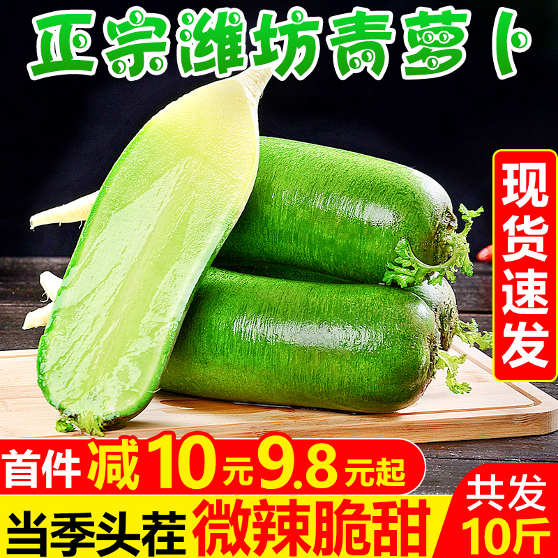 山东潍坊青萝卜10斤新鲜应当季蔬菜清脆爽口沙窝水果萝卜整箱包邮