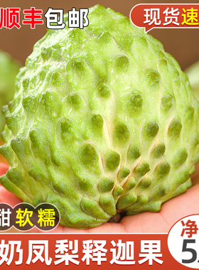 释迦果新鲜番荔枝5斤大目凤梨牛奶佛头果林檎3云南当季水果摩尼果