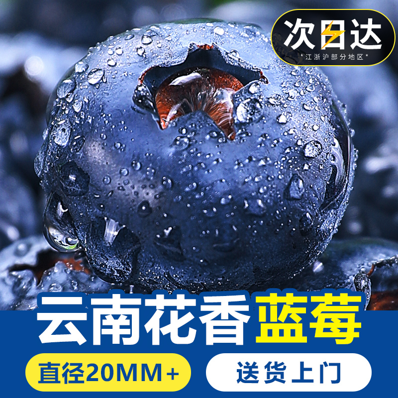 甜蓝莓老树大果【热卖TOP商家】