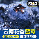 蓝莓鲜果新鲜水果云南l25蓝莓高山花香怡颗甜莓大果产地直发整箱