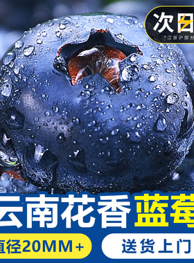 蓝莓鲜果新鲜水果云南l25蓝莓高山花香怡颗甜莓大果产地直发整箱