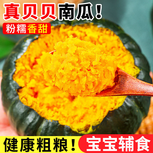 2026板栗味贝贝小南瓜！粉糯香甜