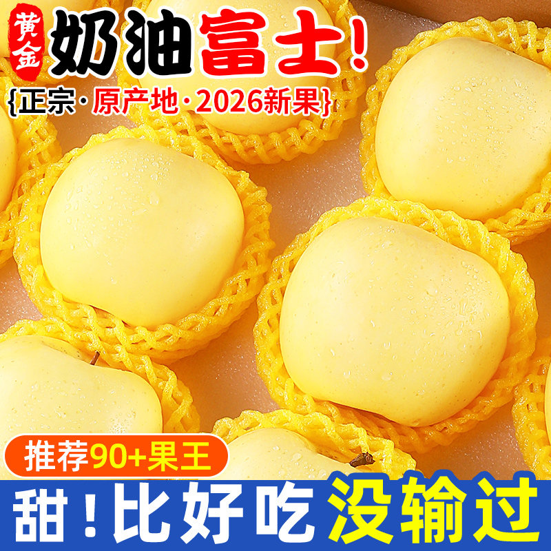 黄金奶油富士苹果山东烟台新鲜水果当季冰糖心牛奶脆甜红平果包邮