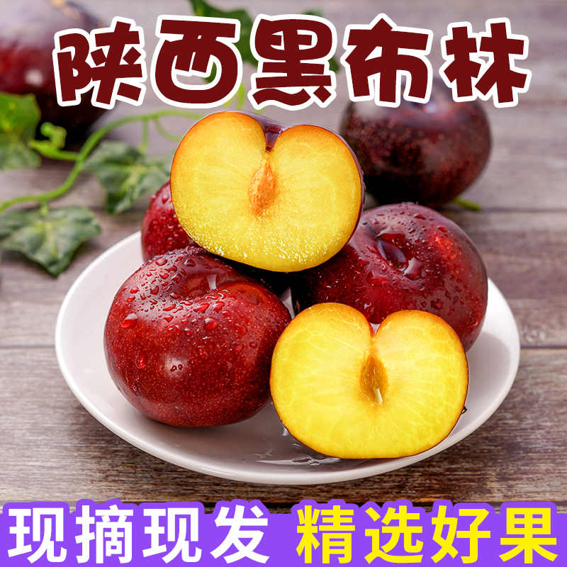 【買一送一】陜西黑布林李子 新鮮當季水果黑寶石整箱批發包郵