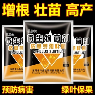 枯草芽孢杆菌枯萎病根腐病白粉病青枯病青枯灰霉病锈病专用有机肥