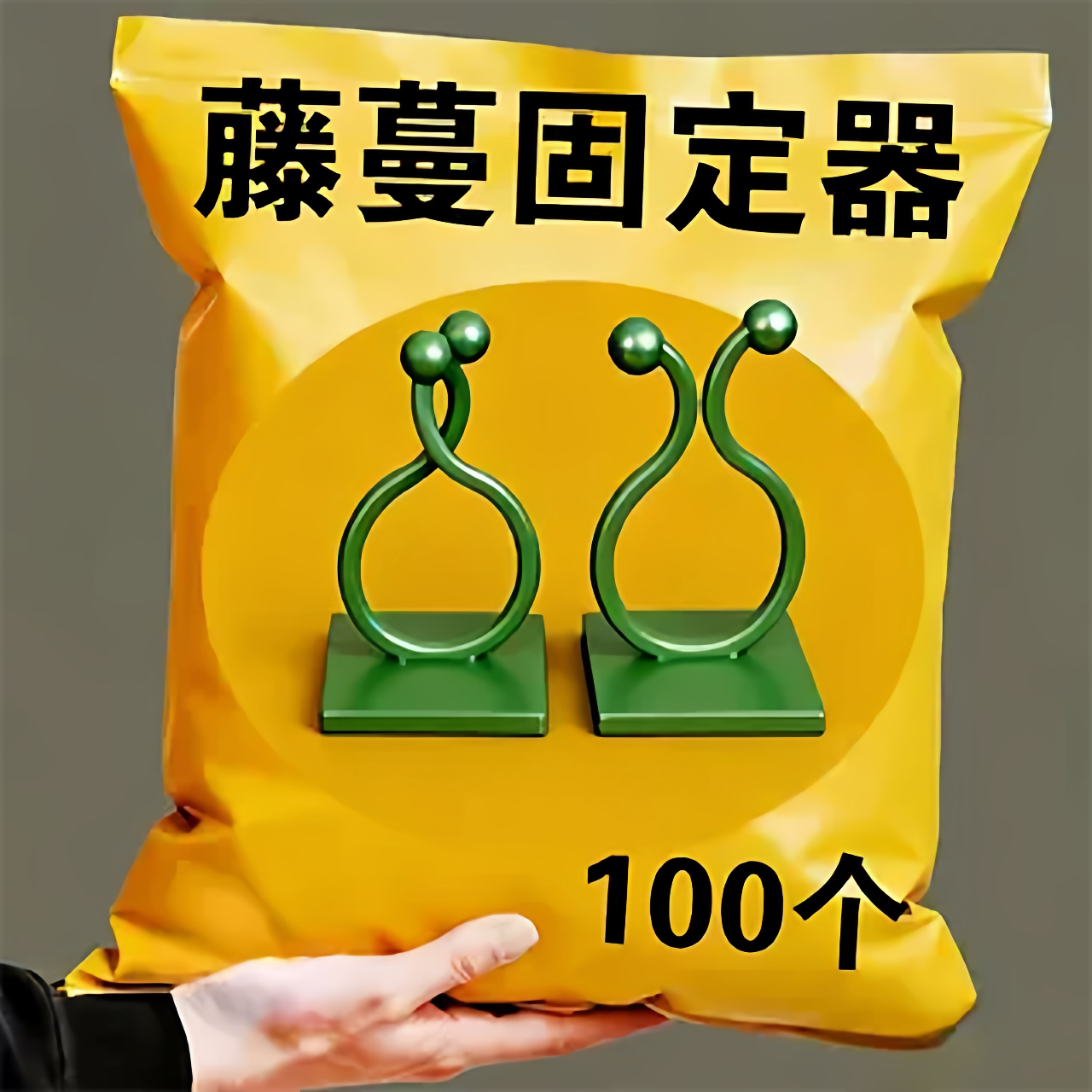 壁挂式固定神器绿植攀爬挂墙上室内爬墙固定器无痕免打孔花艺材料