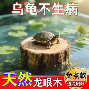 乌龟缸乌龟晒台专用方形龙眼木圆形造景用品水质稳定剂悬浮全套食