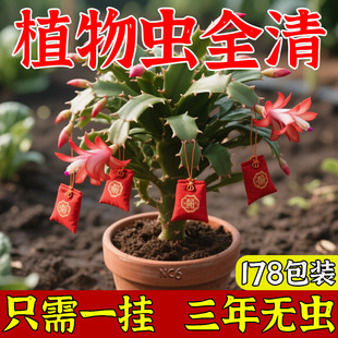 万能型花卉植物驱虫防虫地下花草杀虫药盆栽土壤杀虫剂强效灭蚁药