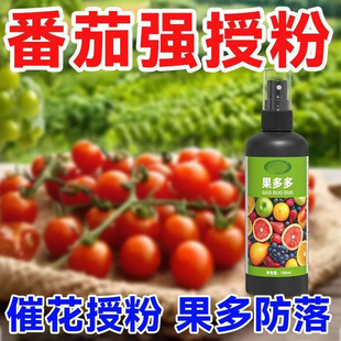 果多多番茄花授粉防落喷雾瓶装园艺植物保护剂草莓营养液园艺用品