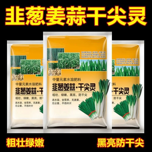 葱姜蒜韭菜干尖灵黄叶卷叶