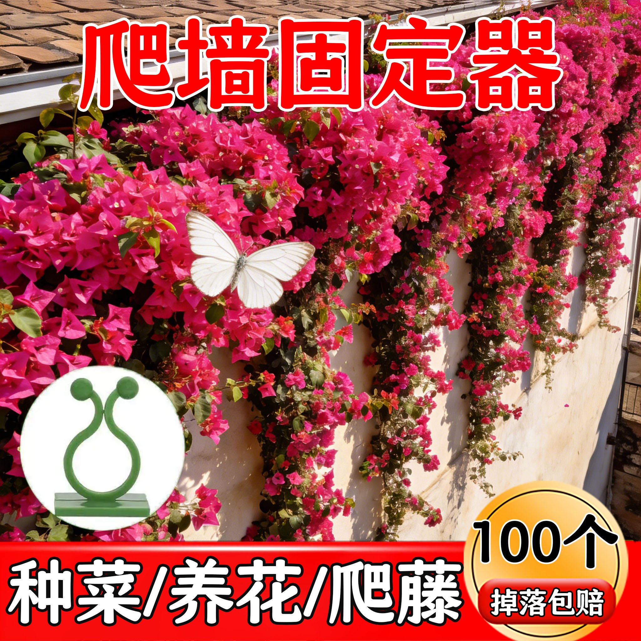绿植墙上无痕免安装攀爬夹