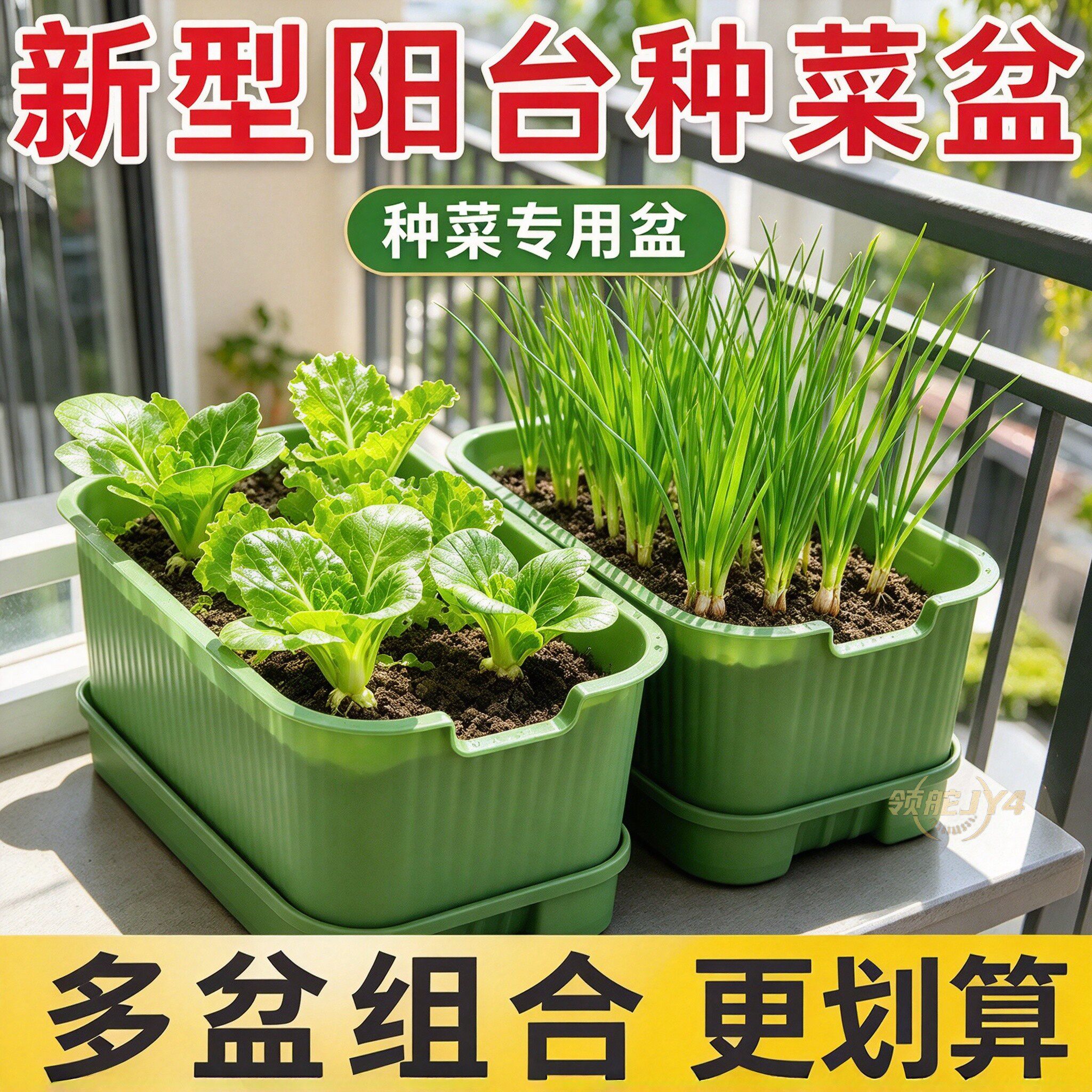 阳台无土水培大号种菜托盘