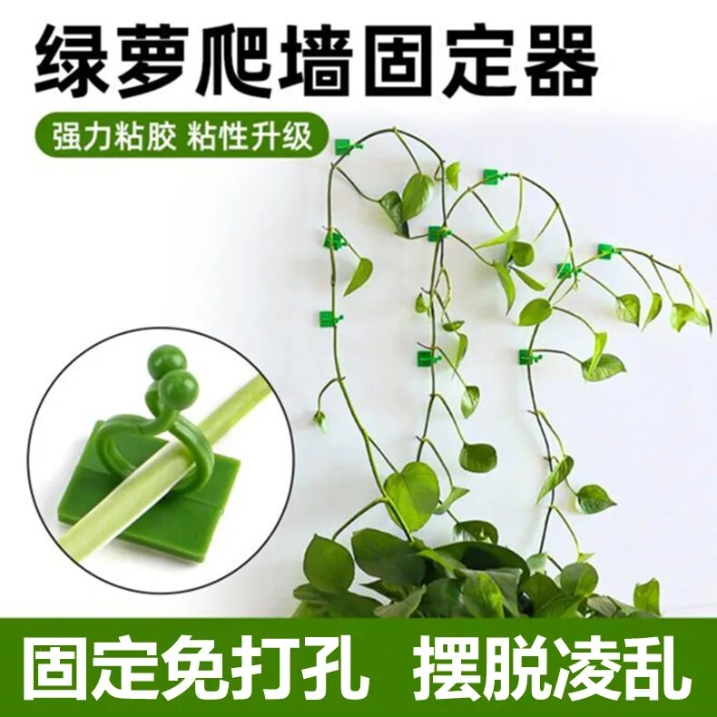 绿箩爬墙无痕免安装攀爬夹