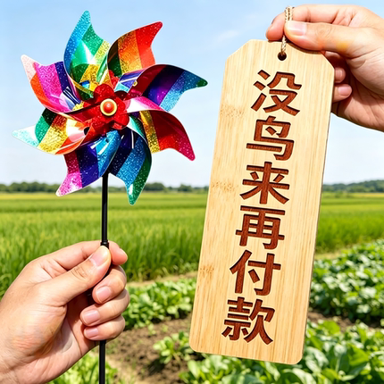 镭射家用赶鸟风车多肉种植赶鸟防鸟神器户外果园闪光渐变吓鸟彩色