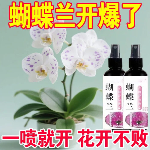 蝴蝶兰专用生根液促开花