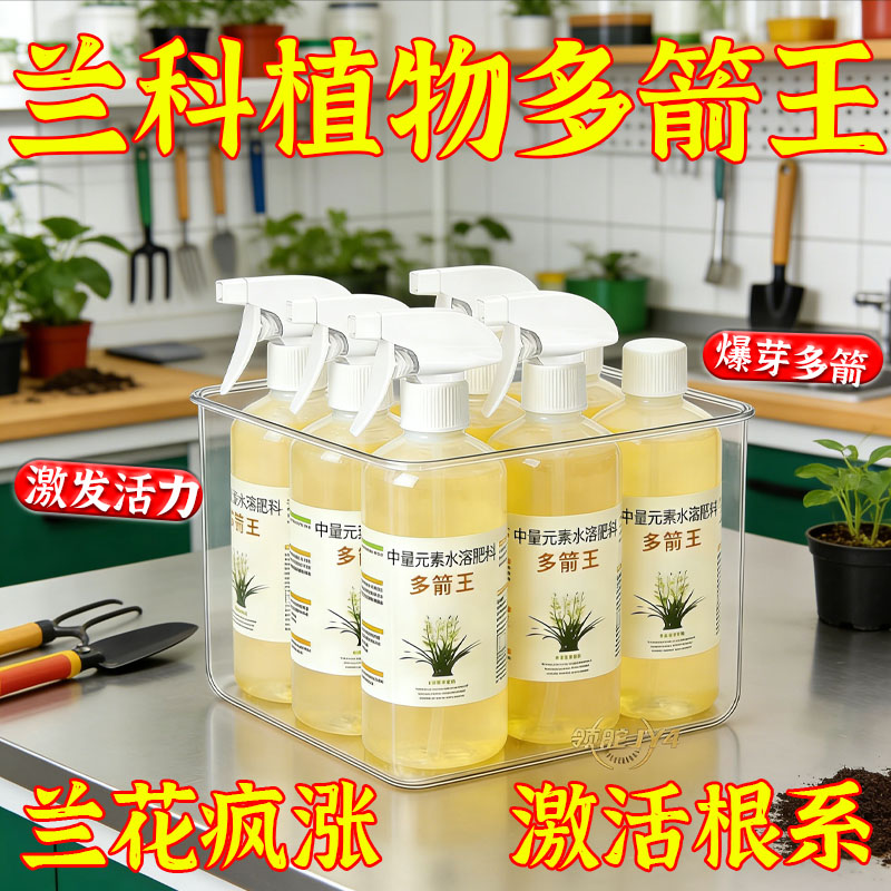 多箭王君子兰促箭防不开花叶面肥
