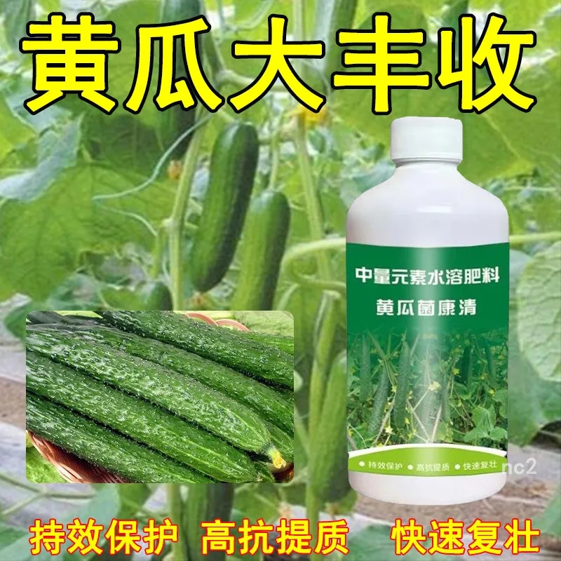 拍一发三】黄瓜病菌清微生物菌剂水果黄瓜长黄瓜蔬菜水溶肥老鼠夹