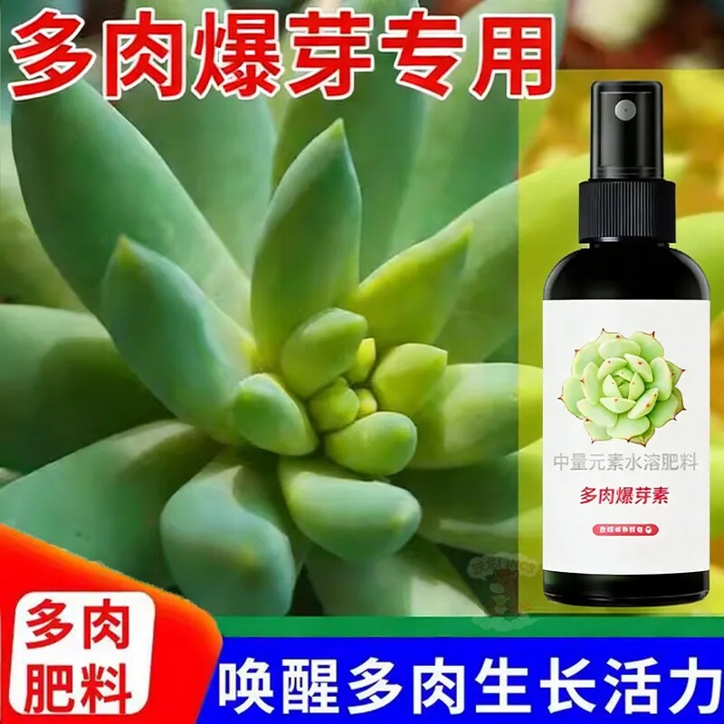 花神纪多肉增色爆芽生根营养液