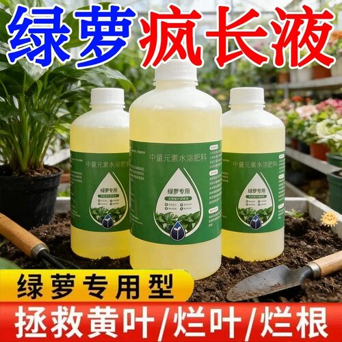 绿萝专用营养液增肥增绿水培