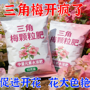 三角梅专用肥颗粒肥通用型家用花卉促开花腊梅家庭园艺肥料颗粒