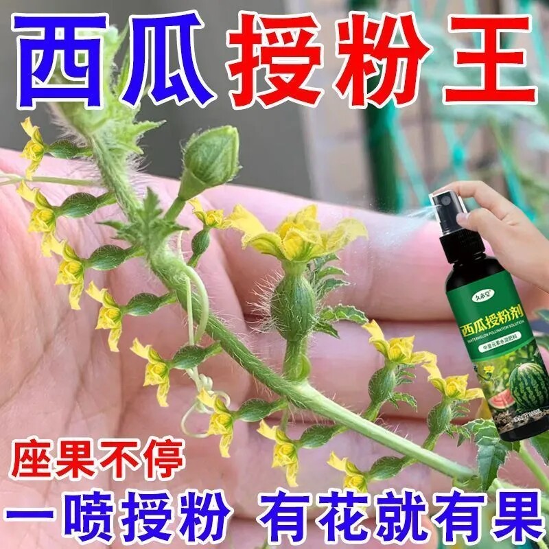 西瓜授粉坐果防落防畸叶面肥