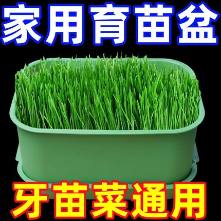 食品级发豆芽神器2025新款家用超大芽盆生种植豆芽发豆芽神器材质