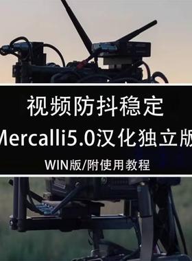 视频防抖稳定软件Mercalli5.o汉化独立版Win版附安装及使用教程