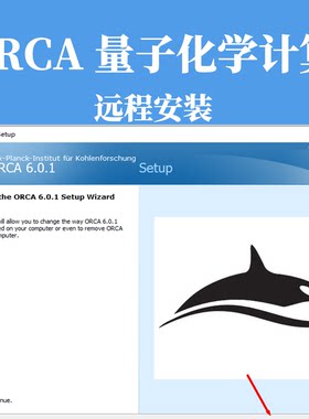 ORCA6.0.1量子化学软件