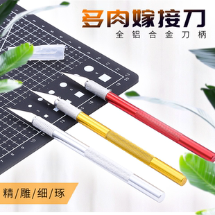 多肉砍头刀切多肉植物嫁接专用刀盆景园艺修根刀水仙花雕刻刀片