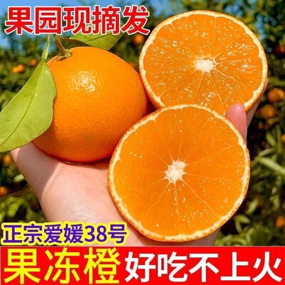 现货当天摘】正宗爱媛38号果冻橙子皮薄当季新鲜水果橙子酸甜爽口