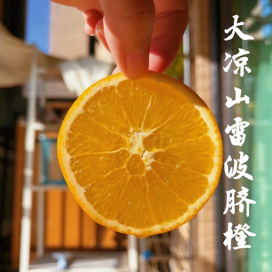 四川大凉山雷波脐橙新鲜水果柑橘10斤