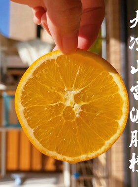 四川大凉山雷波脐橙新鲜柑橘