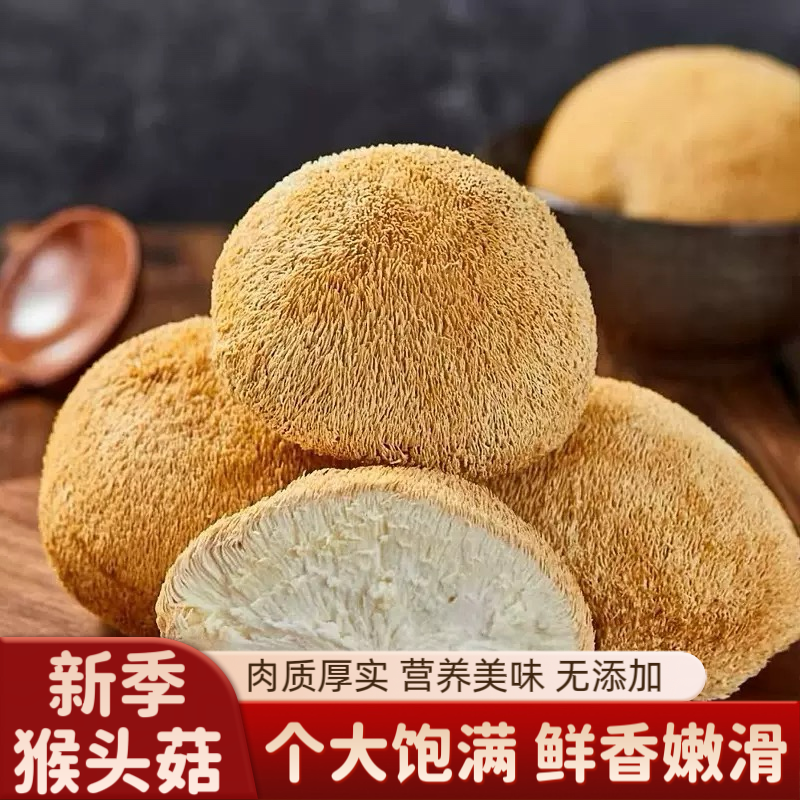 新季猴头菇干货煲汤火锅食材肉厚紧实可打粉养胃猴头菇干货无熏硫