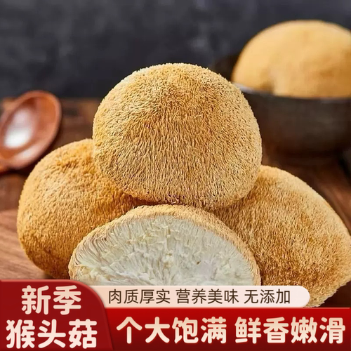 新季猴头菇干货煲汤火锅食材肉厚紧实可打粉养胃猴头菇干货无熏硫