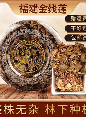 福建红霞整株金线莲干品干货深山林下原生态种植送礼佳品养生茶