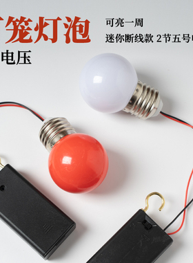 3VLED电池灯泡大红灯笼白光暖光花灯春节装饰灯节日挂钩开关灯泡