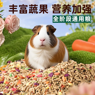 豚鼠天竺鼠荷兰猪专用粮食主粮兔粮兔饲料零食荷兰猪食品用品饲料