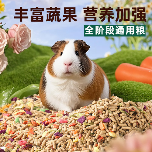 豚鼠天竺鼠荷兰猪专用粮食