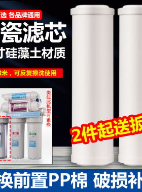 10寸平压陶瓷芯净水器滤芯可清洗精密0.1um硅藻土烧制替代PP棉