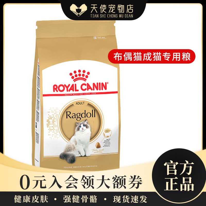 皇家现货进口法国原产dr32布偶猫图片