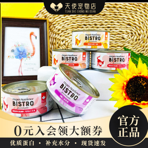 哈根猫罐头纽翠斯泰国