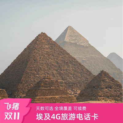 埃及电话卡4G上网SIM卡